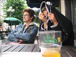 Sweden 2007-08 157